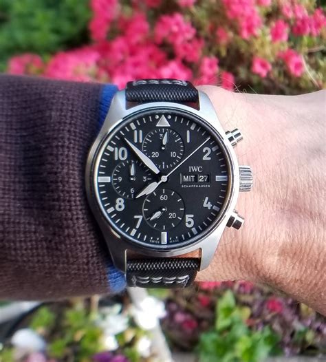 iwc chrono 41|iwc pilot chronograph 41 review.